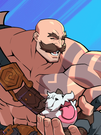 BRAUM banner